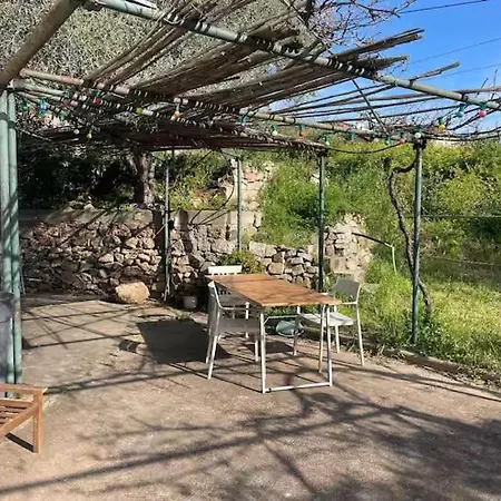 Grand F4 Rez De Jardin * Αζάτσιο