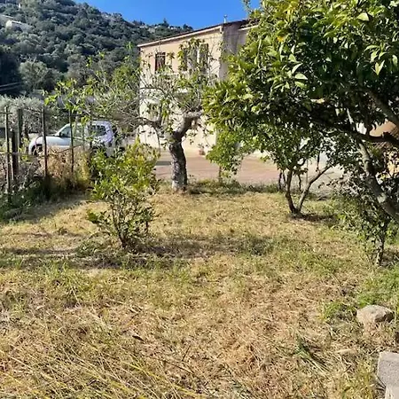 Grand F4 Rez De Jardin * Αζάτσιο