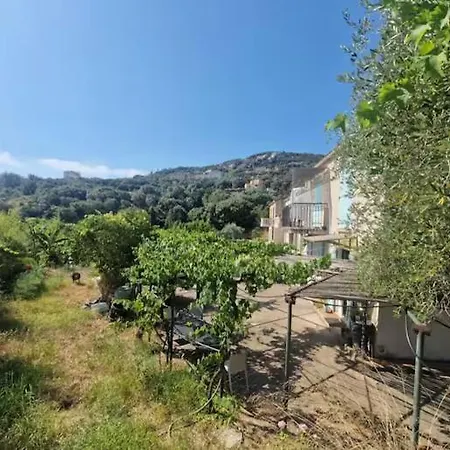 Grand F4 Rez De Jardin Διαμέρισμα Αζάτσιο